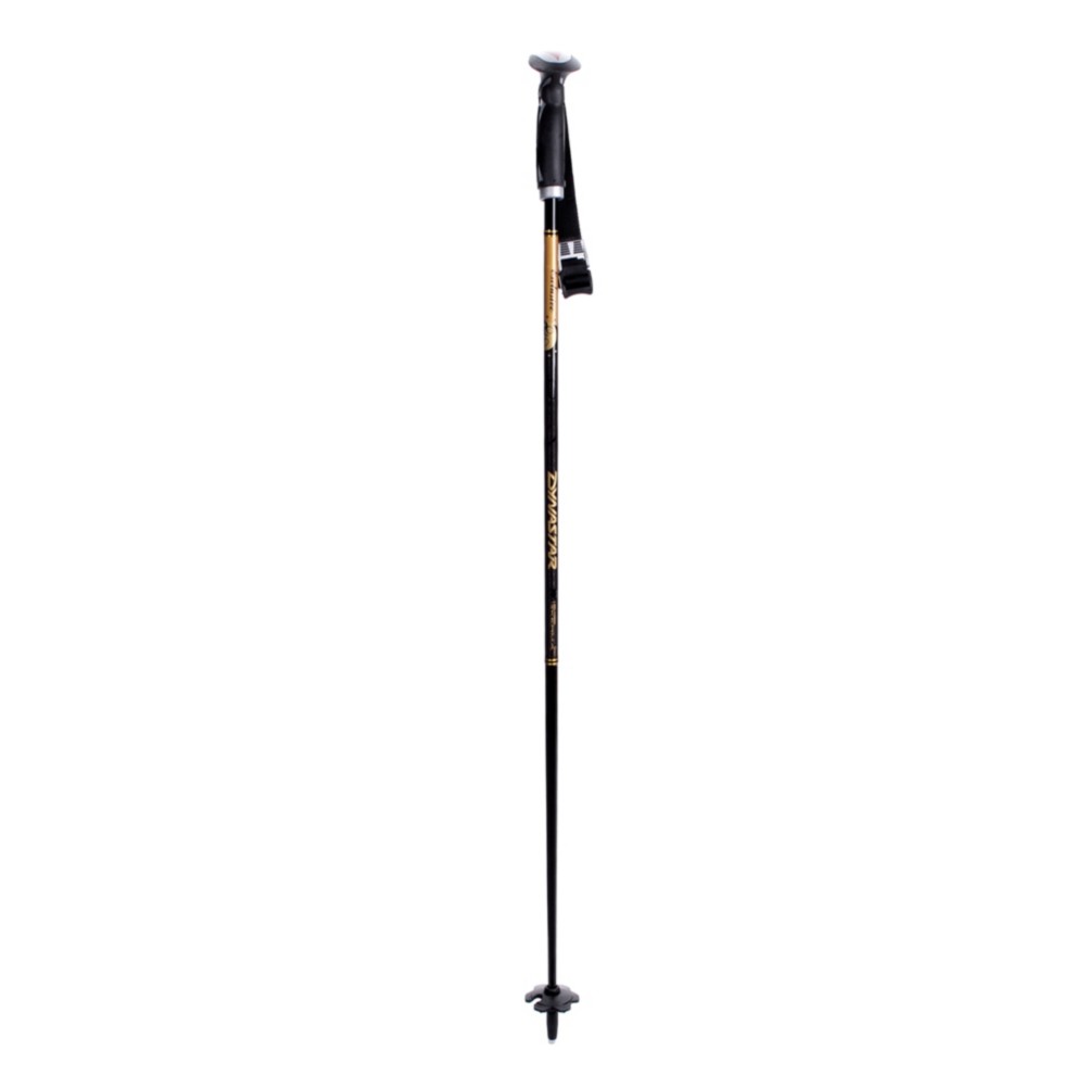 Dynastar Exclusive Carbon Ski Poles - Womens