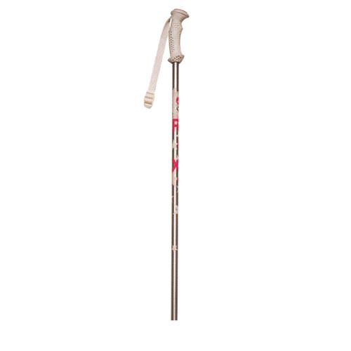 Roxy Abracadabra Ski Poles - Girls