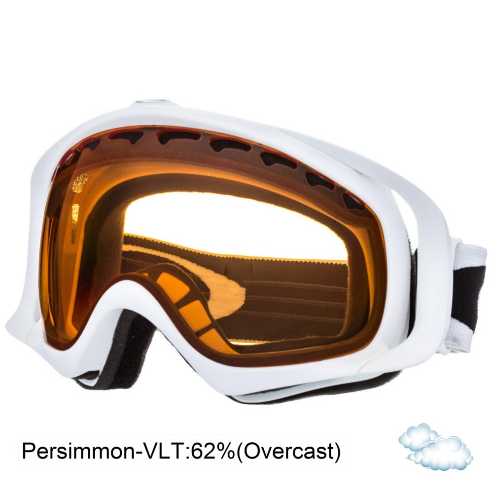 Oakley Crowbar Goggle - Adult 2010