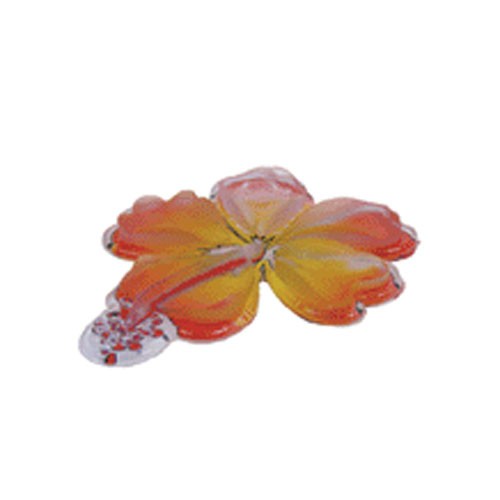 Stomp Hibiscus Stomp Pad