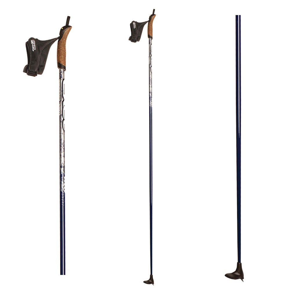 Alpina P3 Cross Thermal Cork Poles 2009