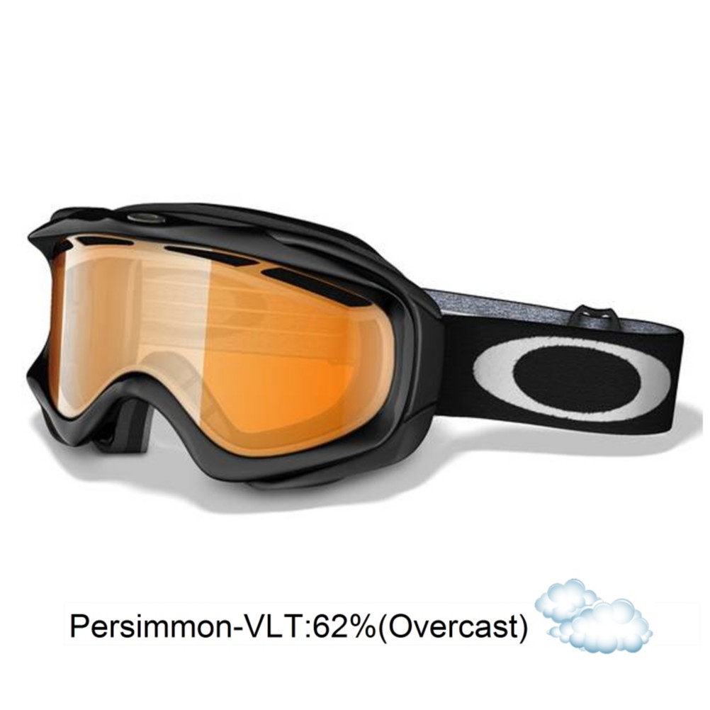 Oakley Ambush Goggle - Adult 2010