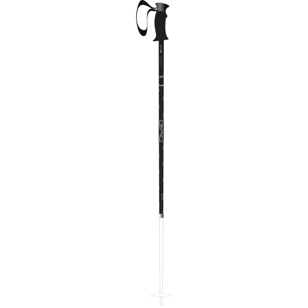 Salomon Divine Origins CS Ski Poles - Womens 2010