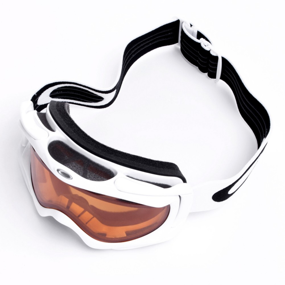 Oakley Ambush Goggle - Mens 2010