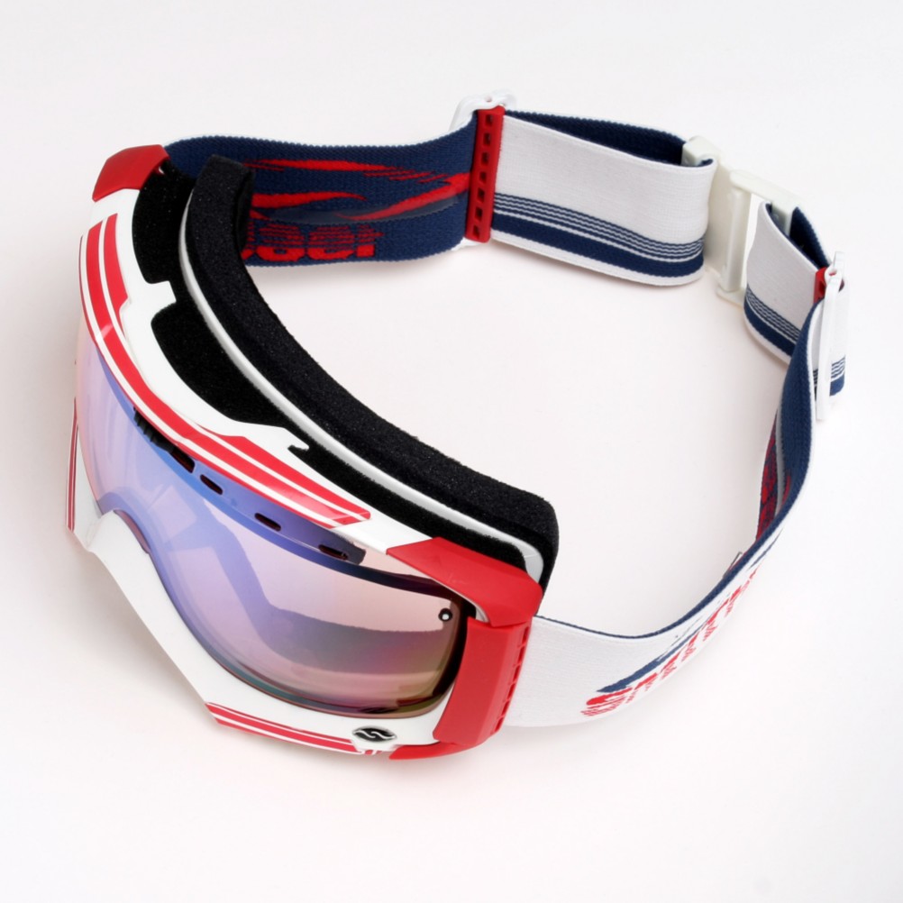 Smith Prodigy Goggle - Mens 2010