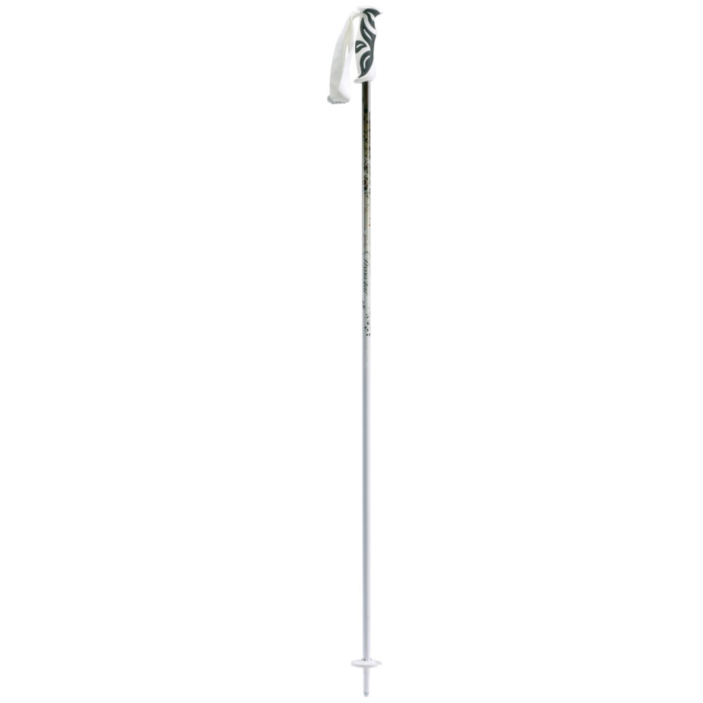 Dynastar Exclusive Expert Active Ski Poles - Womens 2009