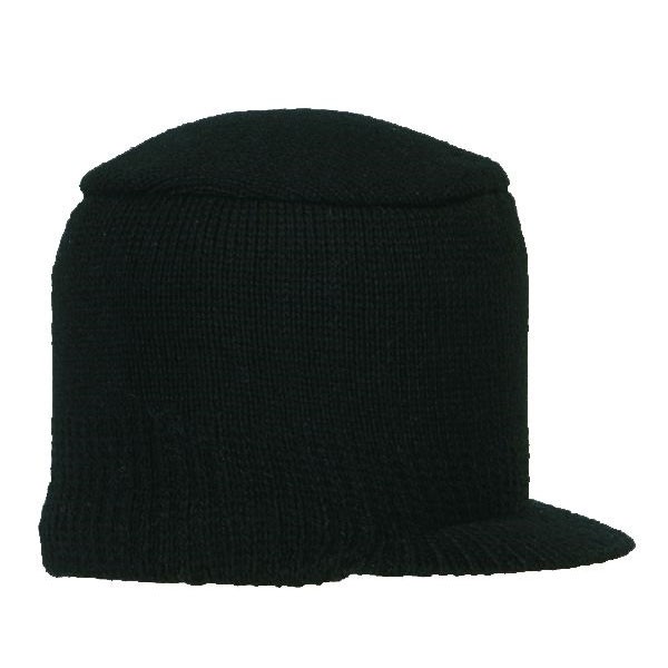 Turtle Fur G.E.D. Ragg Ski Hat - Adult 2010