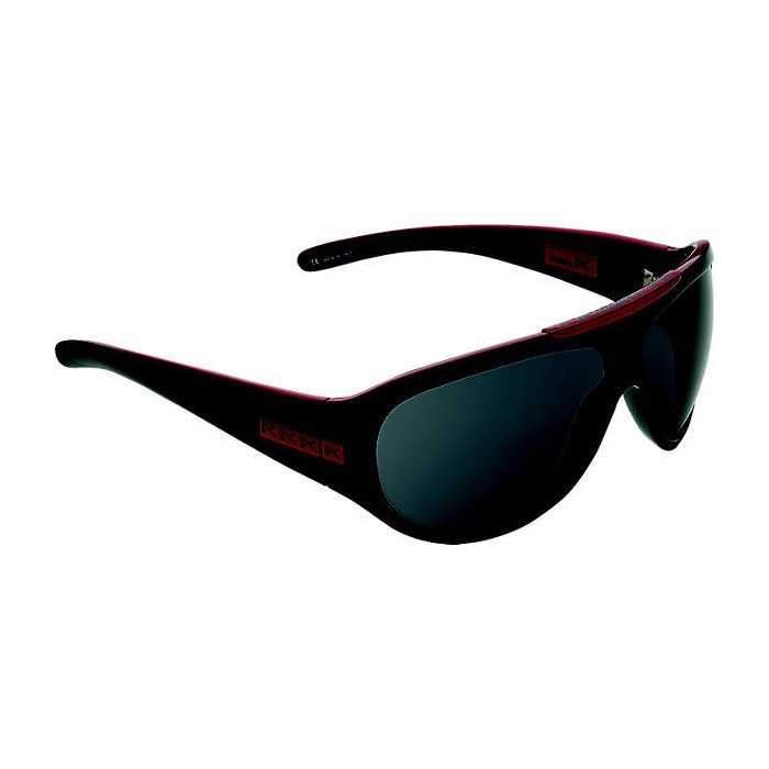 Anon Amos Sunglasses 2009