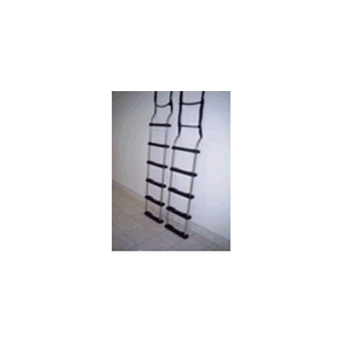 Rave Stainless Steel Ladder