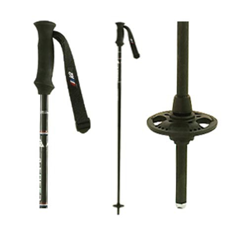  Ski Poles