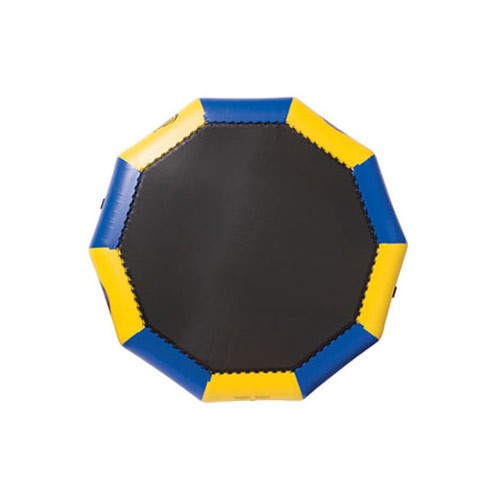 Rave Bongo 13 Foot Bounce Platform 2010