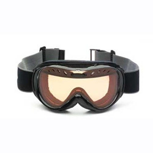 Smith Extreme Regulator Series Goggle - Adult 2009